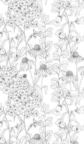 Outlines of garden flowers on a white background Seamless pattern with floral pattern