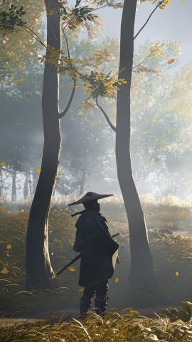Pin by Andr Costa on Imagens fantsticas  Anime scenery wallpaper Samurai wallpaper Anime scenery