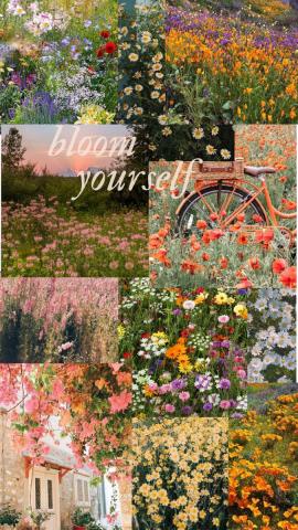 bloom yourself