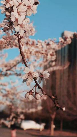 HD Spring aesthetic images