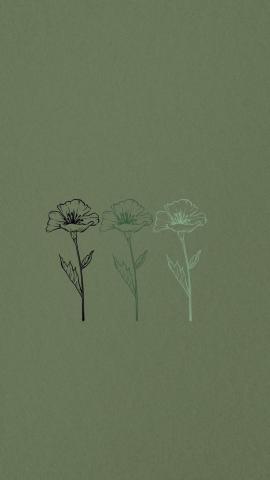 Download Aesthetic Instagram Minimalist Sage Green Wallpaper  Wallpapers com