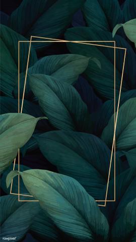 Green tropical leaves patterned
