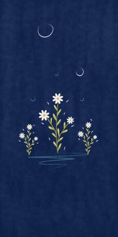 Lockscreen flowers daisy wallpaper free download  PNGtree