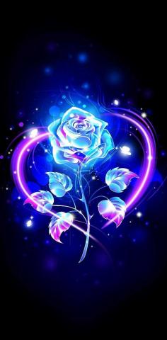 Rose Glow Love 