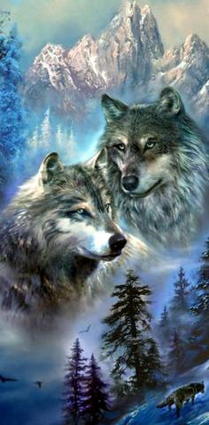 Mountain Wolf Pack