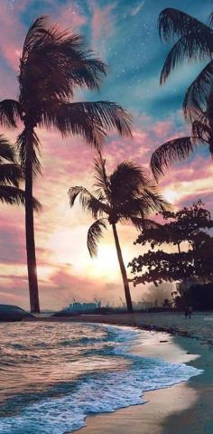 Beach Palms Sunset