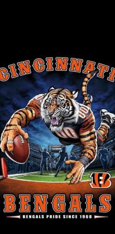 Cincinnati Bengals 1