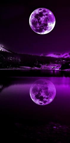 Purple Moonlight