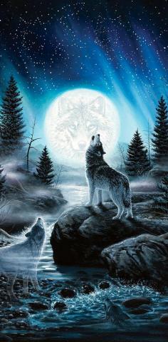 Star Howling Wolfs