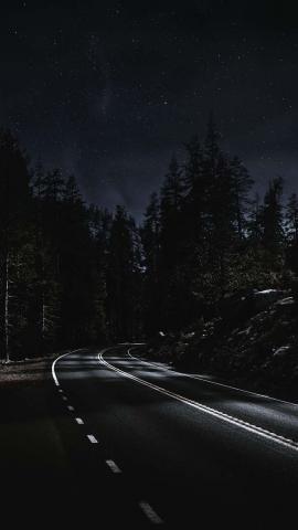 Night Forest Road IPhone Wallpaper HD  IPhone Wallpapers