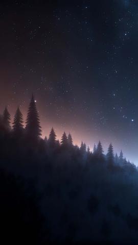 Night Sky And Trees IPhone Wallpaper HD  IPhone Wallpapers