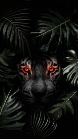 Predator Tiger IPhone Wallpaper HD  IPhone Wallpapers