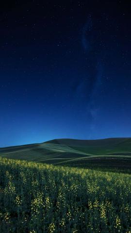 Green Fields And Night IPhone Wallpaper HD  IPhone Wallpapers