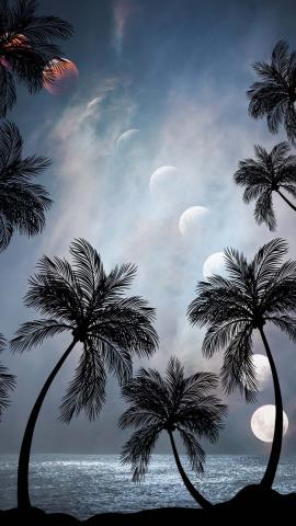 Palm Trees And Eclipse IPhone Wallpaper HD  IPhone Wallpapers