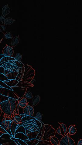 OLED Flowers IPhone Wallpaper HD  IPhone Wallpapers