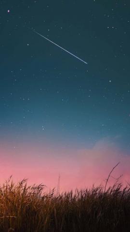 Grass Fields And Star Full Sky IPhone Wallpaper HD  IPhone Wallpapers