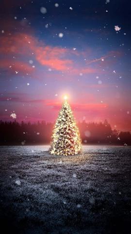 Christmas Tree Snow Fall IPhone Wallpaper HD  IPhone Wallpapers