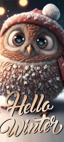 Hello Winter Cute IPhone Wallpaper HD  IPhone Wallpapers