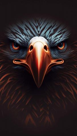 Eagle Face IPhone Wallpaper HD  IPhone Wallpapers