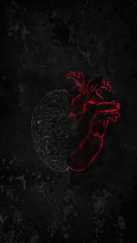 Heart Vs Brain IPhone Wallpaper HD  IPhone Wallpapers