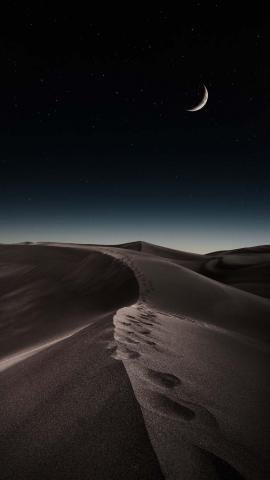 Night Desert Walk IPhone Wallpaper HD  IPhone Wallpapers