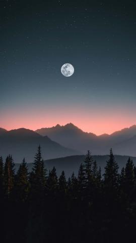 Full Moon Forest IPhone Wallpaper HD  IPhone Wallpapers