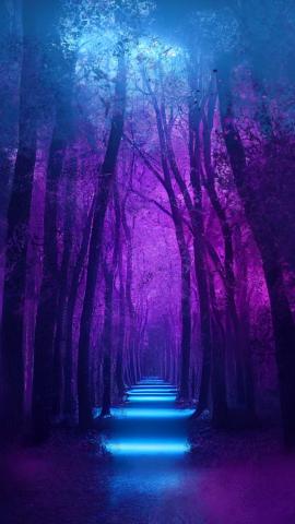Cold Forest IPhone Wallpaper HD  IPhone Wallpapers