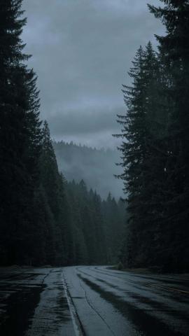 Pacific Northwest IPhone Wallpaper HD  IPhone Wallpapers