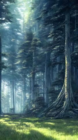Giant Trees IPhone Wallpaper HD  IPhone Wallpapers