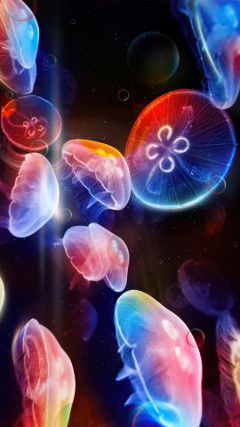 Jellyfish Glow IPhone Wallpaper HD  IPhone Wallpapers