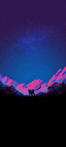 The Wild Night IPhone Wallpaper HD  IPhone Wallpapers