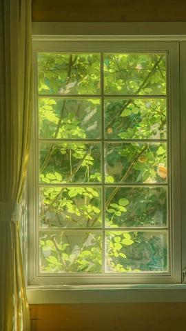 Window Of Nature IPhone Wallpaper HD  IPhone Wallpapers