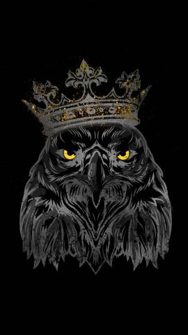 King Eagle IPhone Wallpaper HD  IPhone Wallpapers
