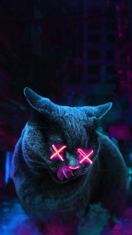 Ghost Cat IPhone Wallpaper HD  IPhone Wallpapers