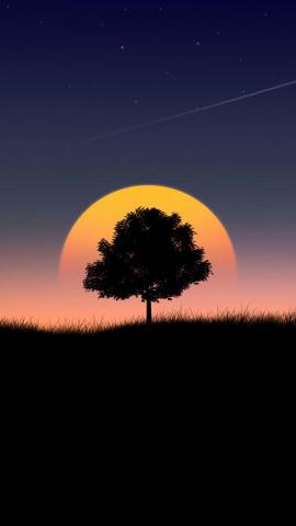 Sunset Tree Silhouette IPhone Wallpaper HD  IPhone Wallpapers