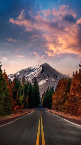 Forest Highway IPhone Wallpaper HD  IPhone Wallpapers