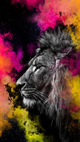 Lion King IPhone Wallpaper HD  IPhone Wallpapers