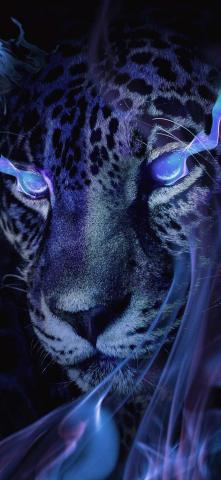 Mystical Panther IPhone Wallpaper HD  IPhone Wallpapers