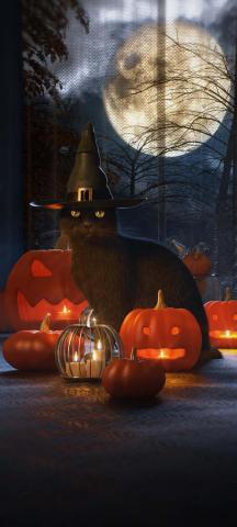 Halloween Cat IPhone Wallpaper HD  IPhone Wallpapers