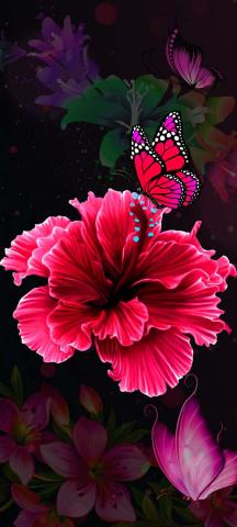 Butterfly On Flower IPhone Wallpaper HD  IPhone Wallpapers