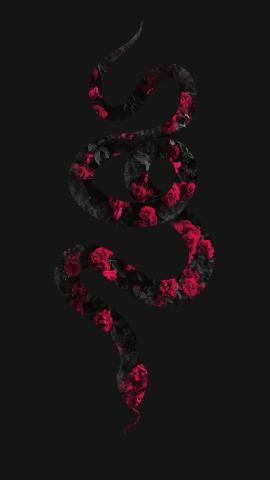 Rose Floral Snake IPhone Wallpaper HD  IPhone Wallpapers