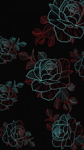 Amoled Rose Flowers IPhone Wallpaper HD  IPhone Wallpapers