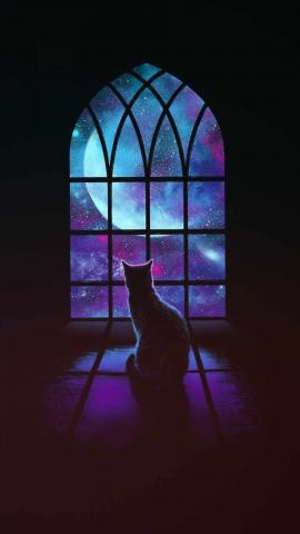 Cat Looking Outside Window IPhone Wallpaper HD  IPhone Wallpapers
