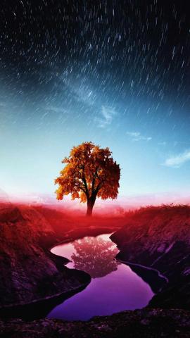 Magical Tree Of Life IPhone Wallpaper HD  IPhone Wallpapers