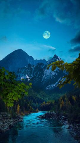 Green Forest Moon IPhone Wallpaper HD  IPhone Wallpapers