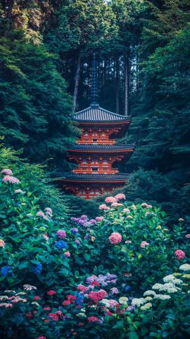 Japanease Temple In Forest IPhone Wallpaper HD  IPhone Wallpapers