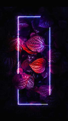 Neon Foliage Leaves IPhone Wallpaper HD  IPhone Wallpapers