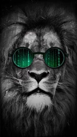 Cyber Lion IPhone 13 Wallpaper  IPhone Wallpapers