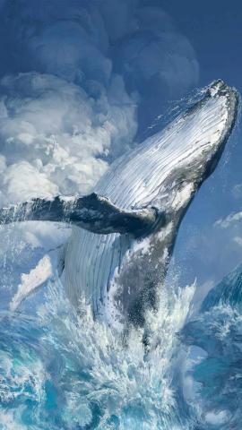 Wallpaper underwater sea blue whale bubles images for desktop section  животные  download