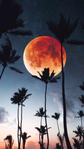 Super Blood Moon 4K IPhone Wallpaper  IPhone Wallpapers